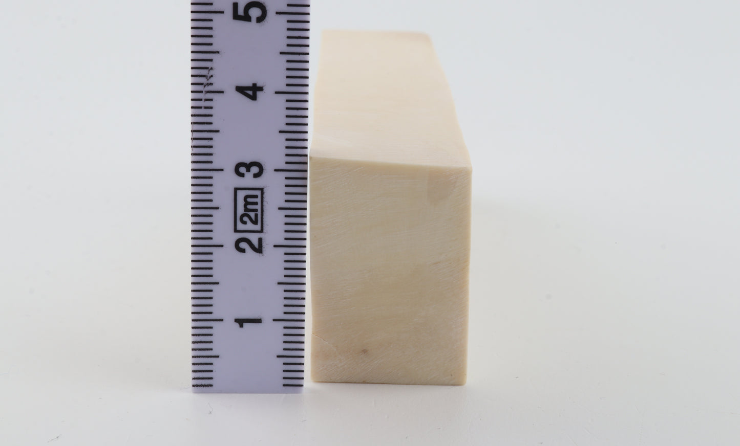 White mammoth ivory segment