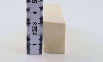 White mammoth ivory segment