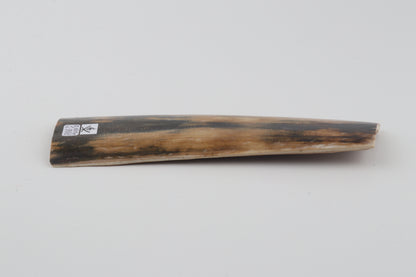 Multicolored mammoth bark