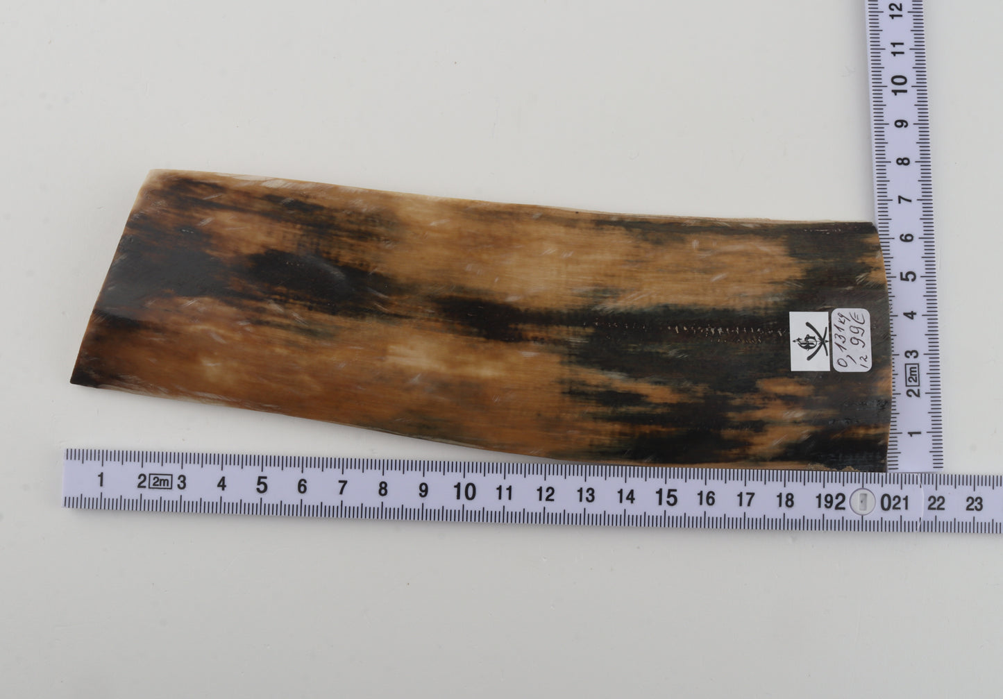 Multicolored mammoth bark