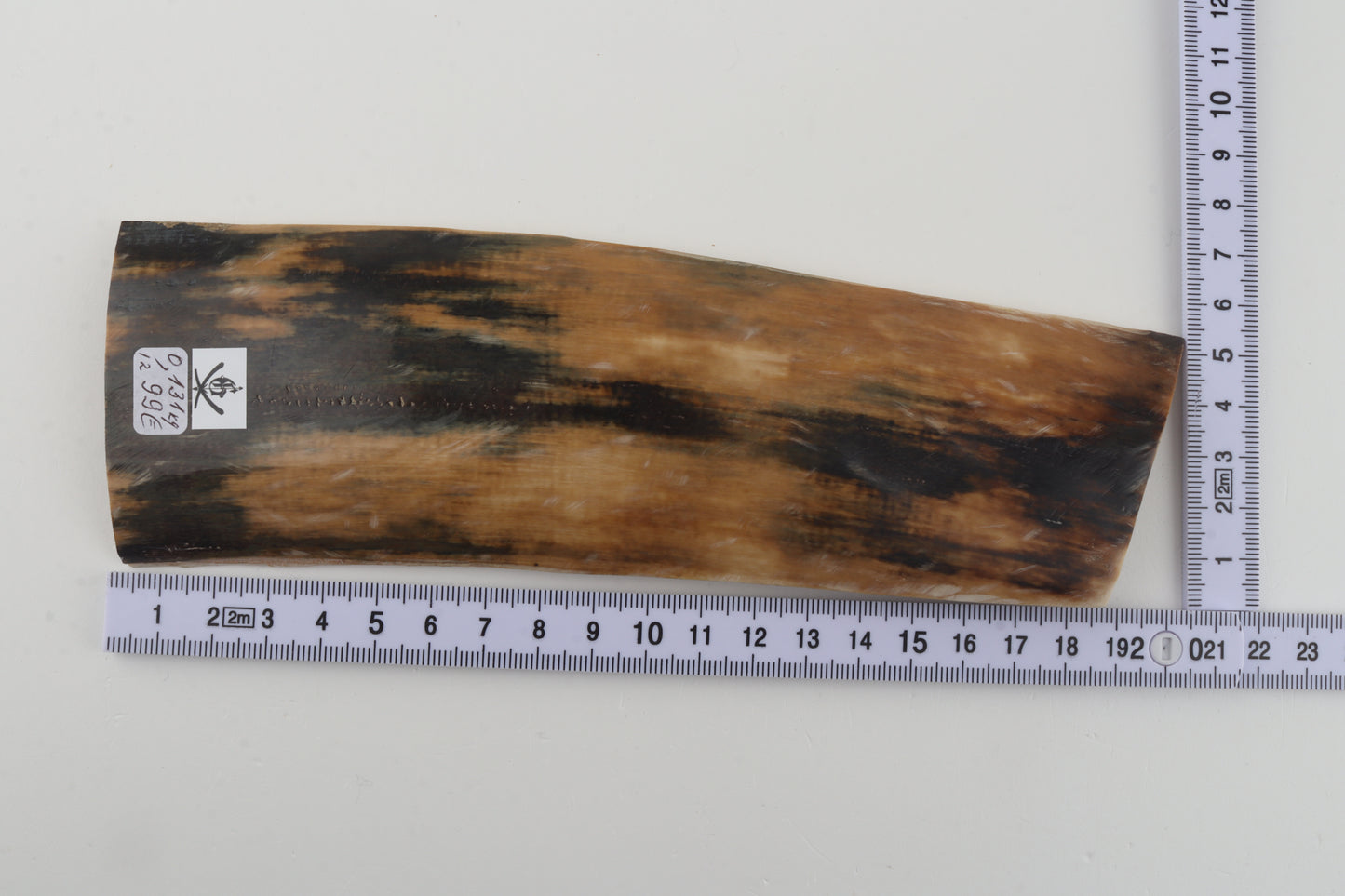 Multicolored mammoth bark