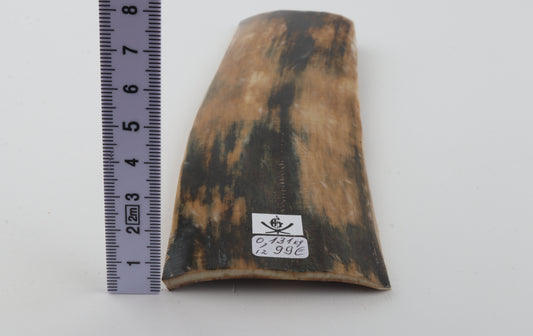 Multicolored mammoth bark