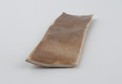 Multicolored mammoth bark