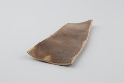 Multicolored mammoth bark