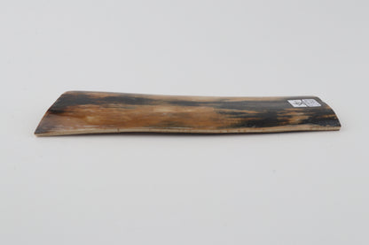 Multicolored mammoth bark