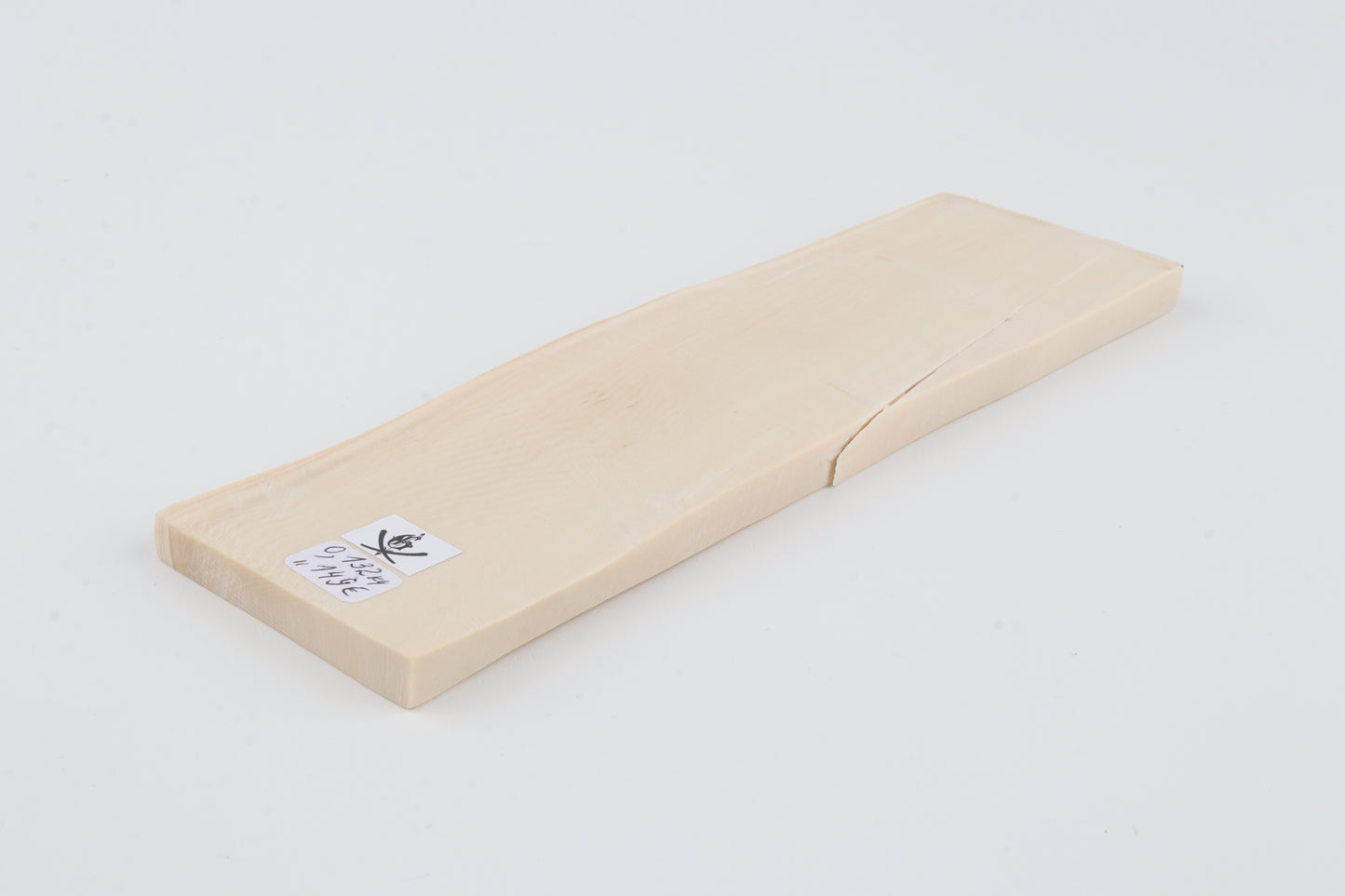 White mammoth ivory segment