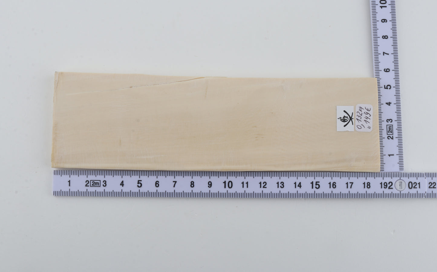 White mammoth ivory segment