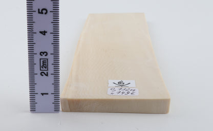 White mammoth ivory segment