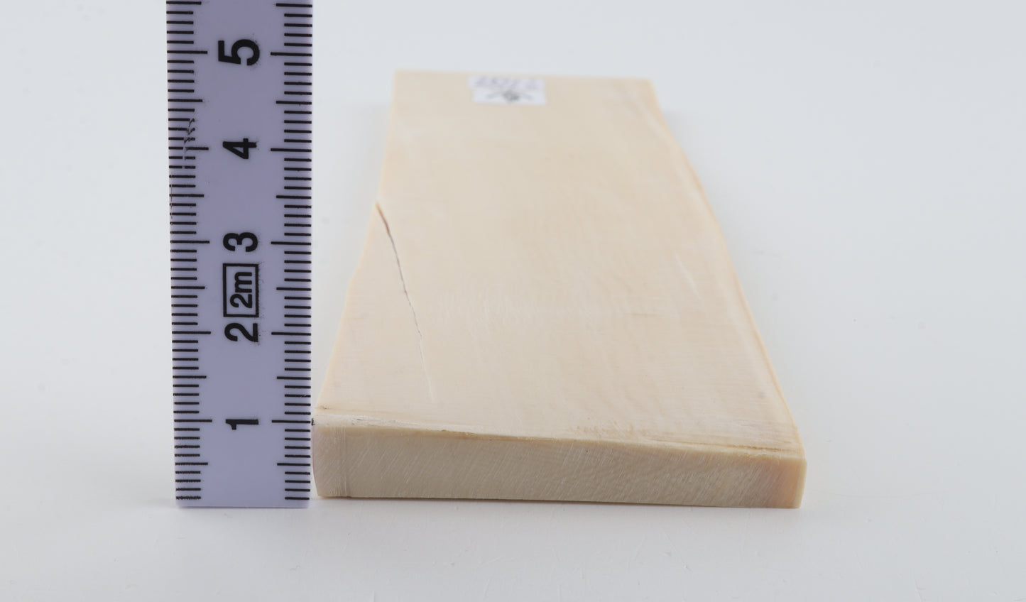 White mammoth ivory segment