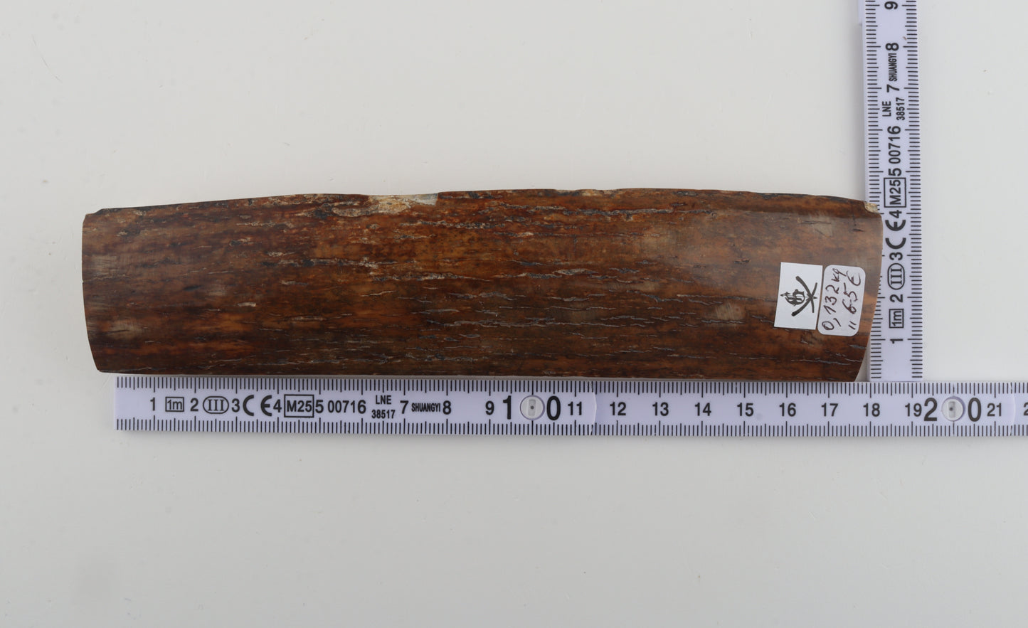 Red-brown mammoth bark