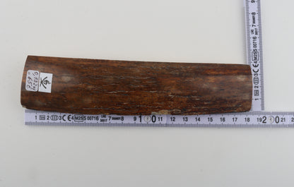 Red-brown mammoth bark