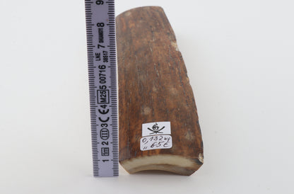 Red-brown mammoth bark