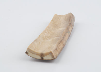 Red-brown mammoth bark