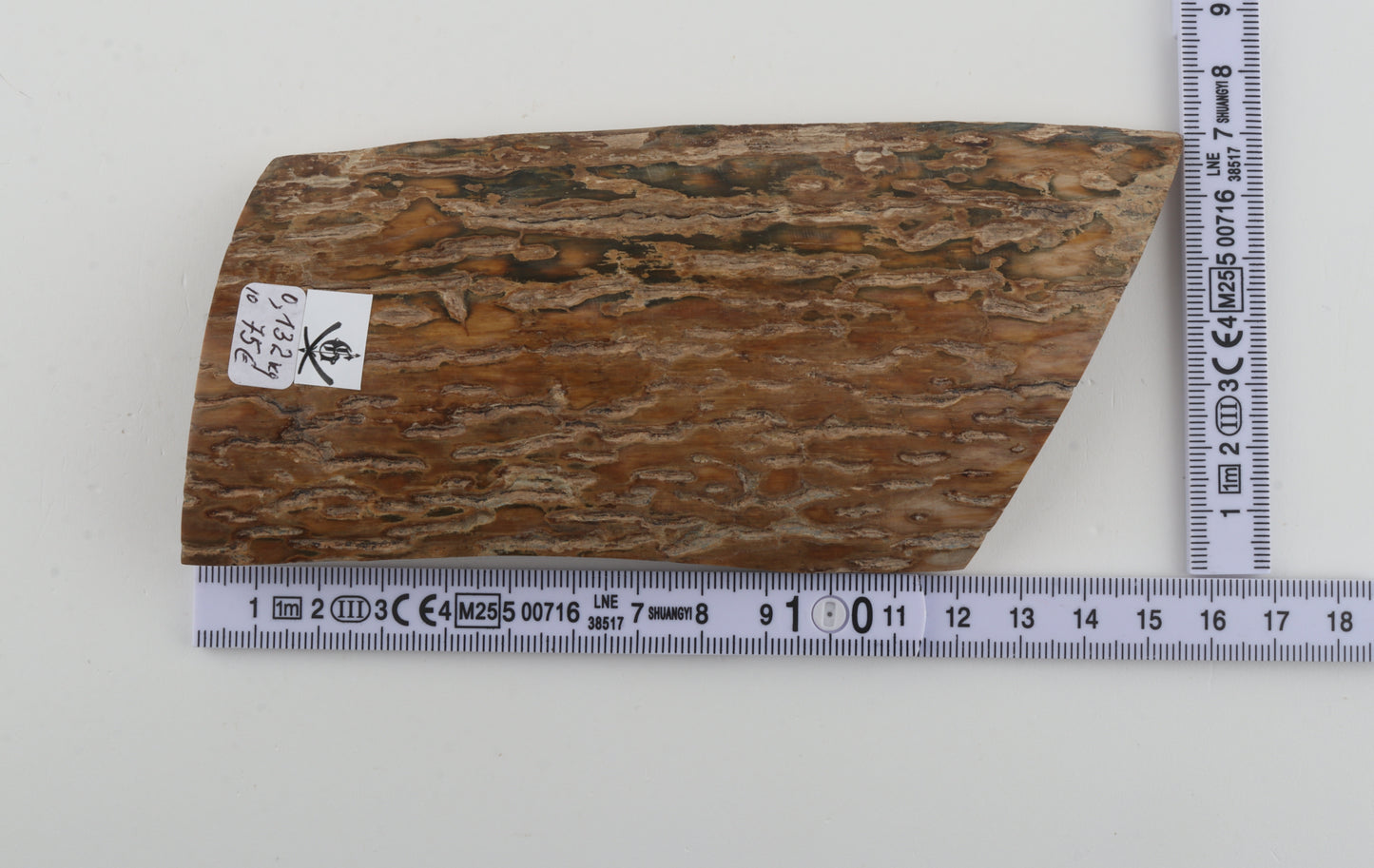 Brown mammoth bark