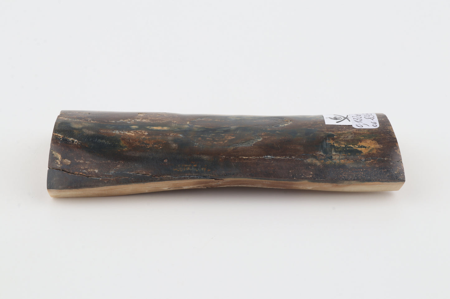 Brown-blue mammoth bark