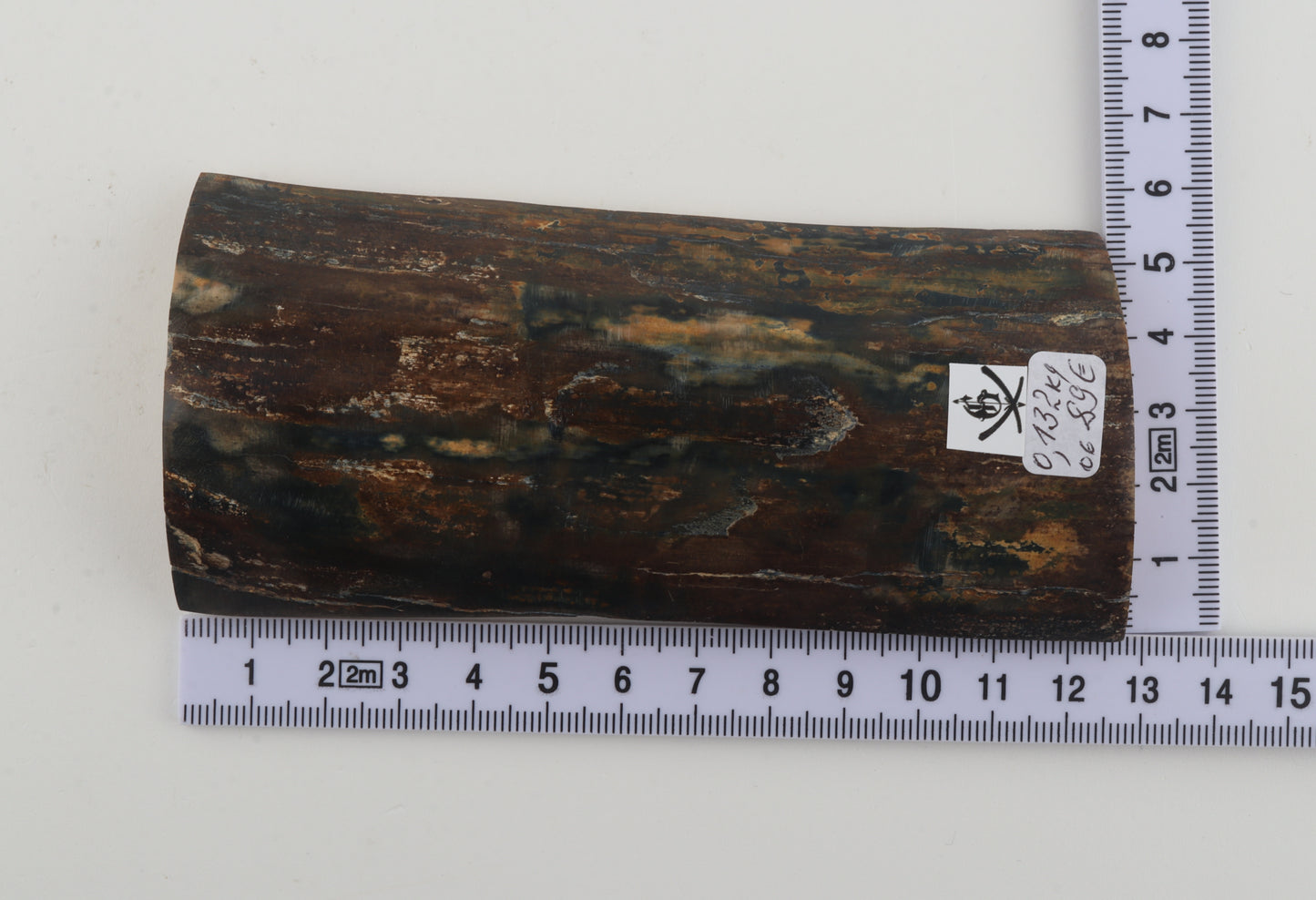 Brown-blue mammoth bark