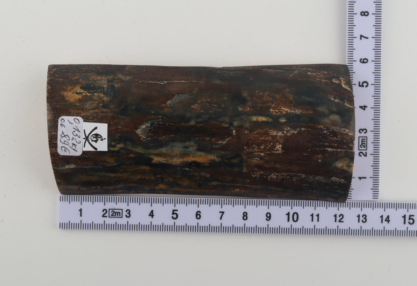 Brown-blue mammoth bark