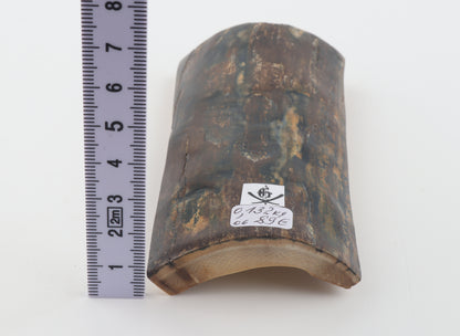 Brown-blue mammoth bark