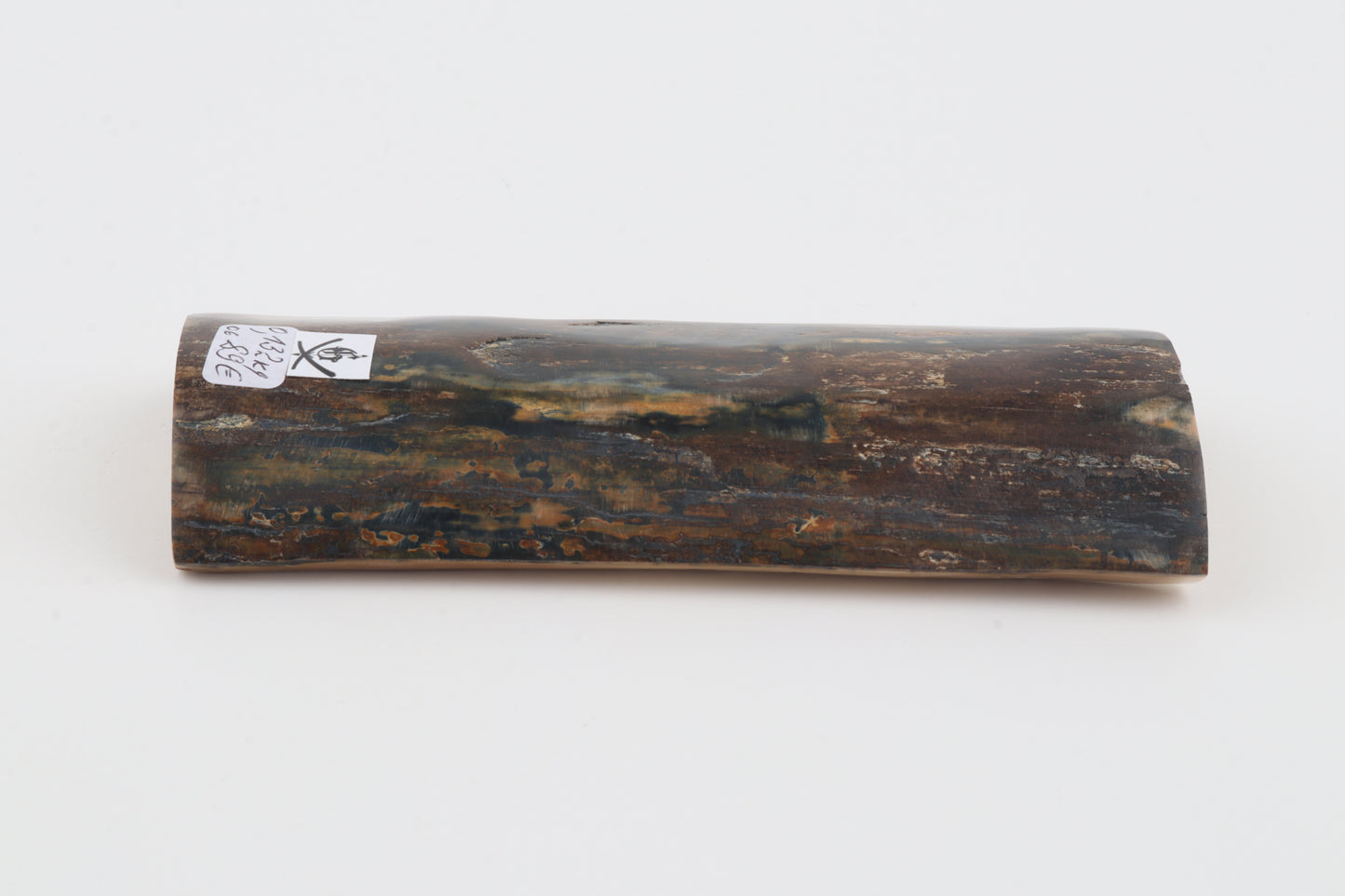 Brown-blue mammoth bark