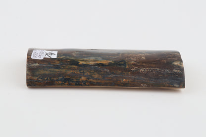 Brown-blue mammoth bark