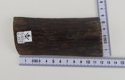 Brown mammoth bark