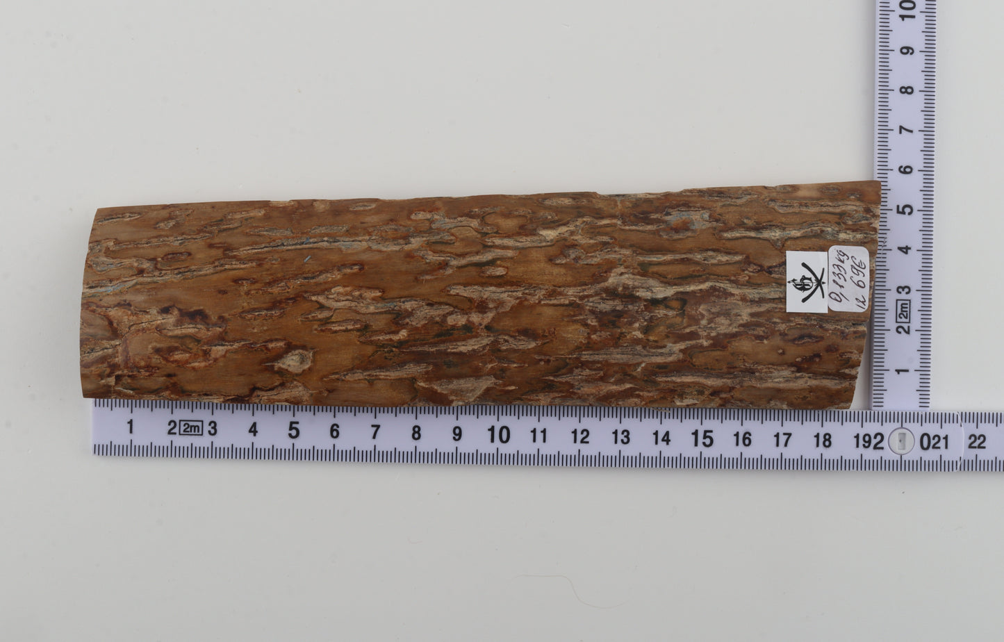 Beige woolly mammoth bark