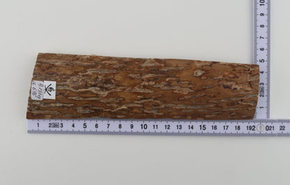 Beige woolly mammoth bark