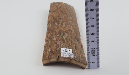 Beige woolly mammoth bark