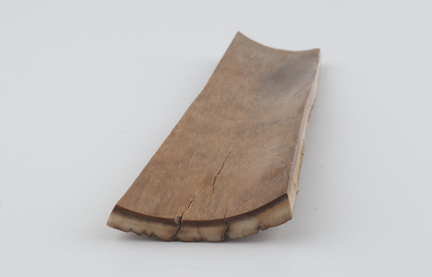 Beige woolly mammoth bark