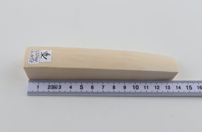 White mammoth ivory segment