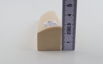White mammoth ivory segment