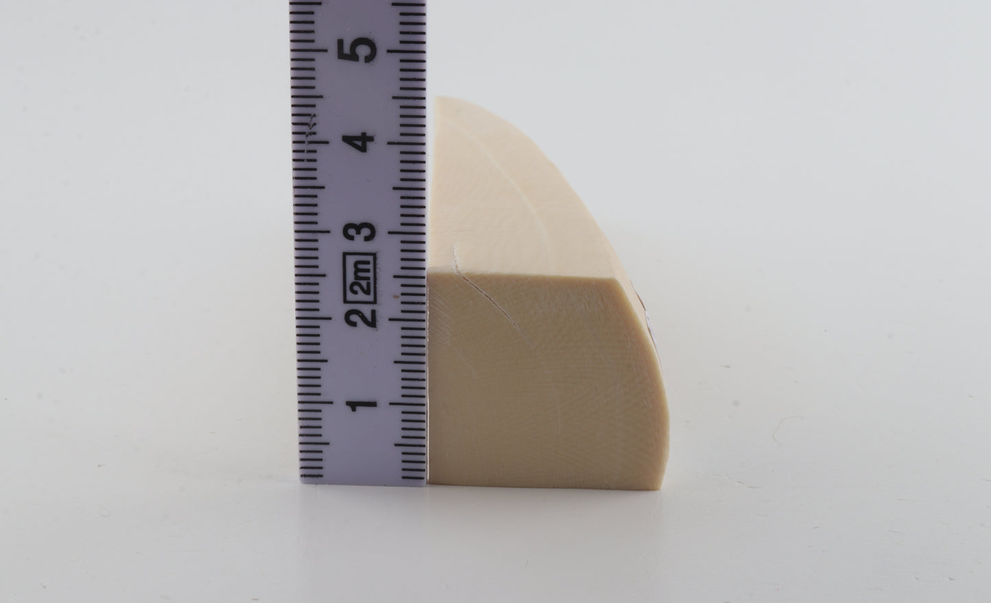 White mammoth ivory segment