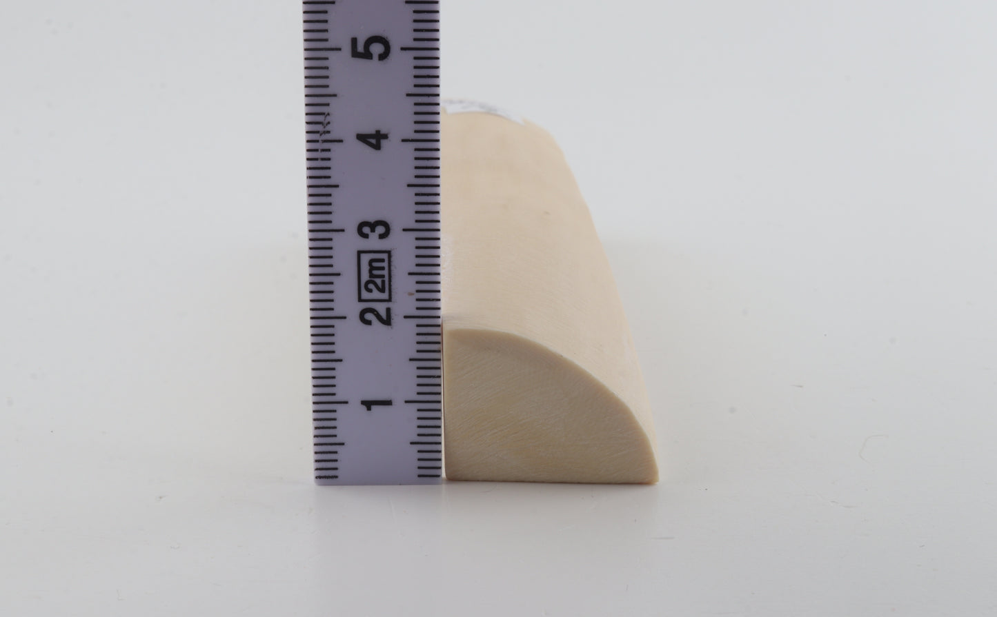 White mammoth ivory segment
