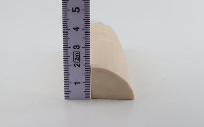 White mammoth ivory segment