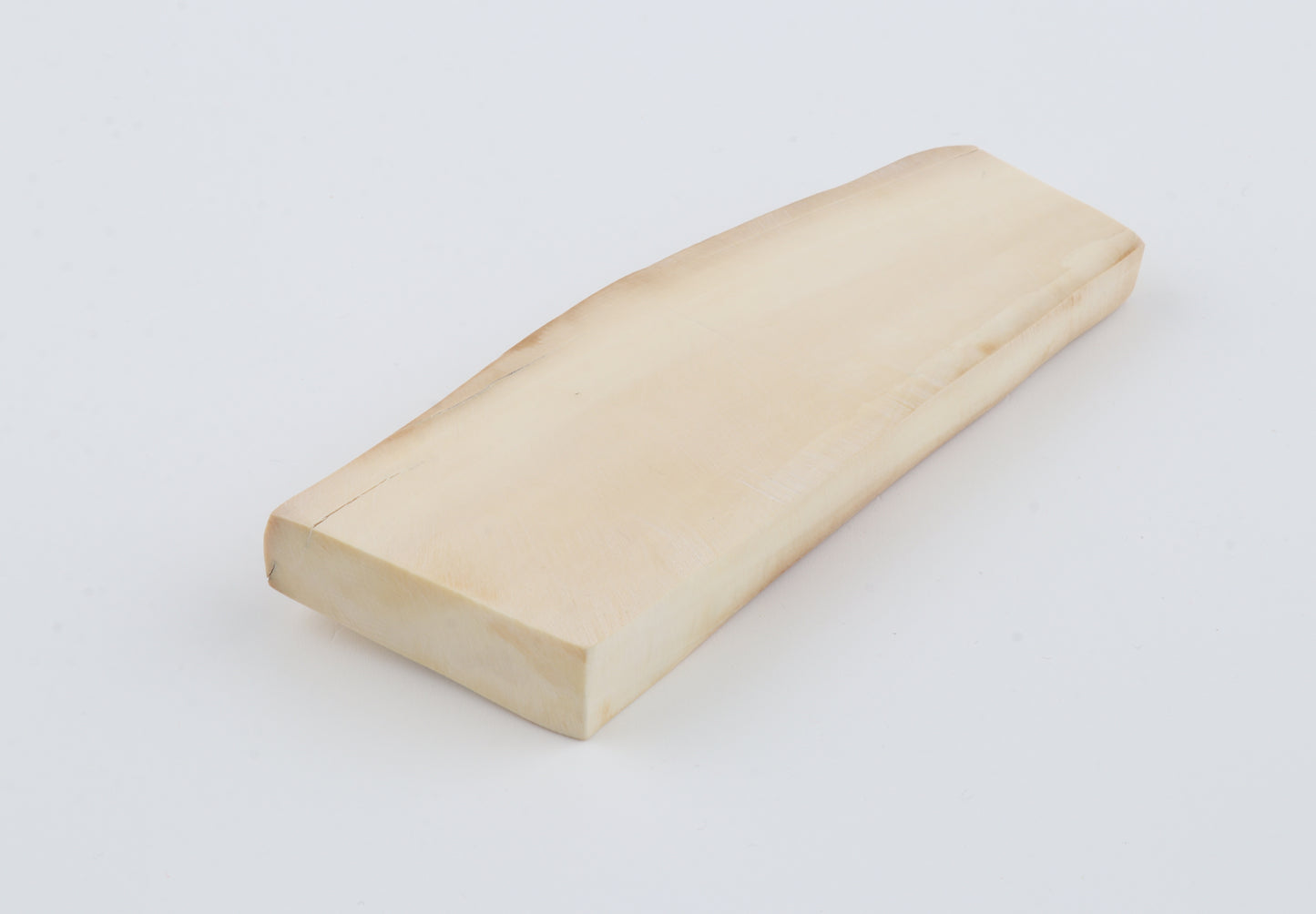 White mammoth ivory segment