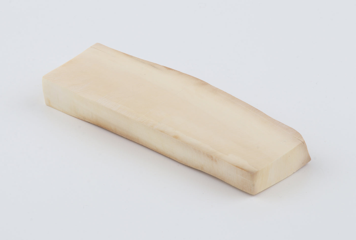 White mammoth ivory segment