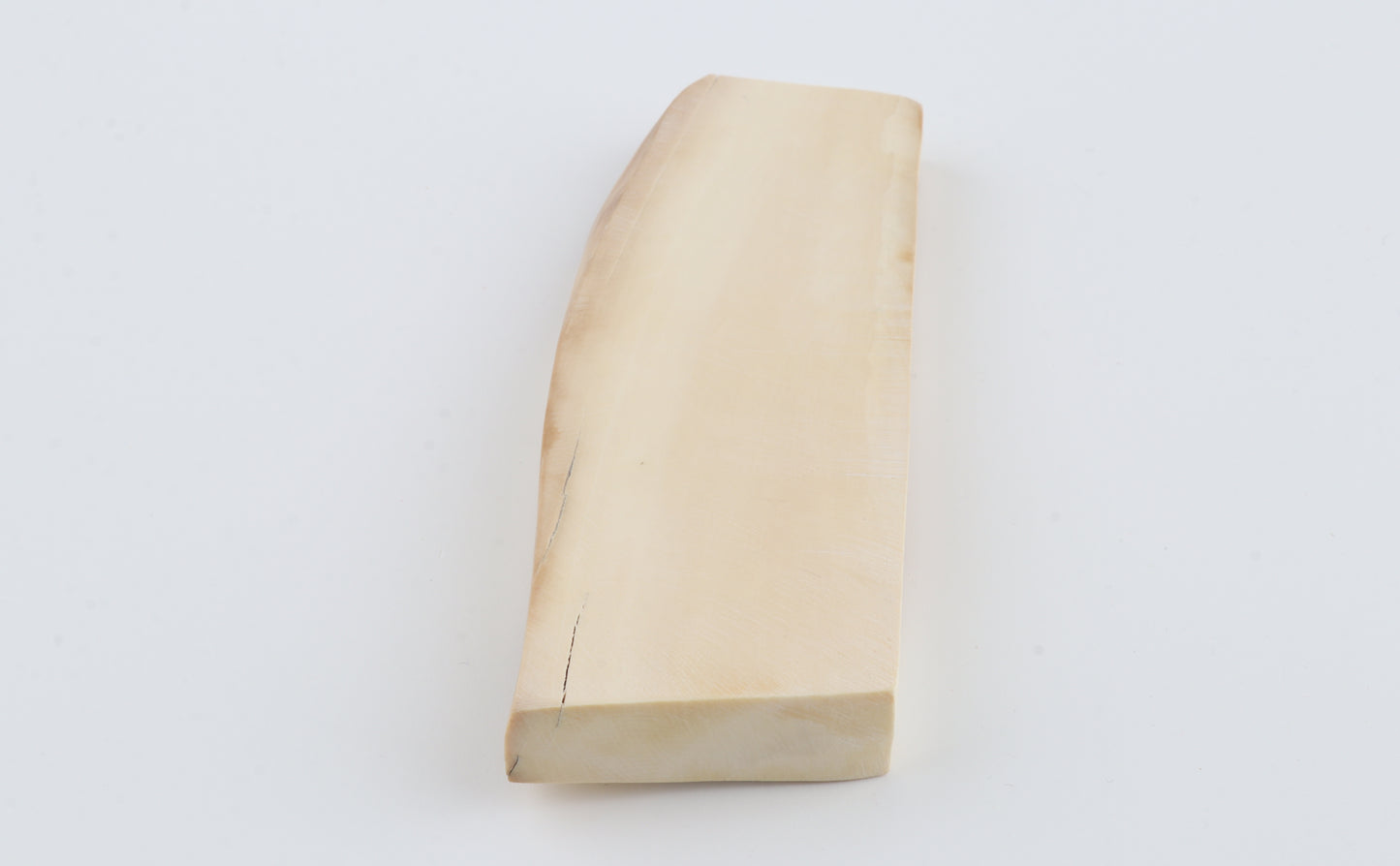 White mammoth ivory segment