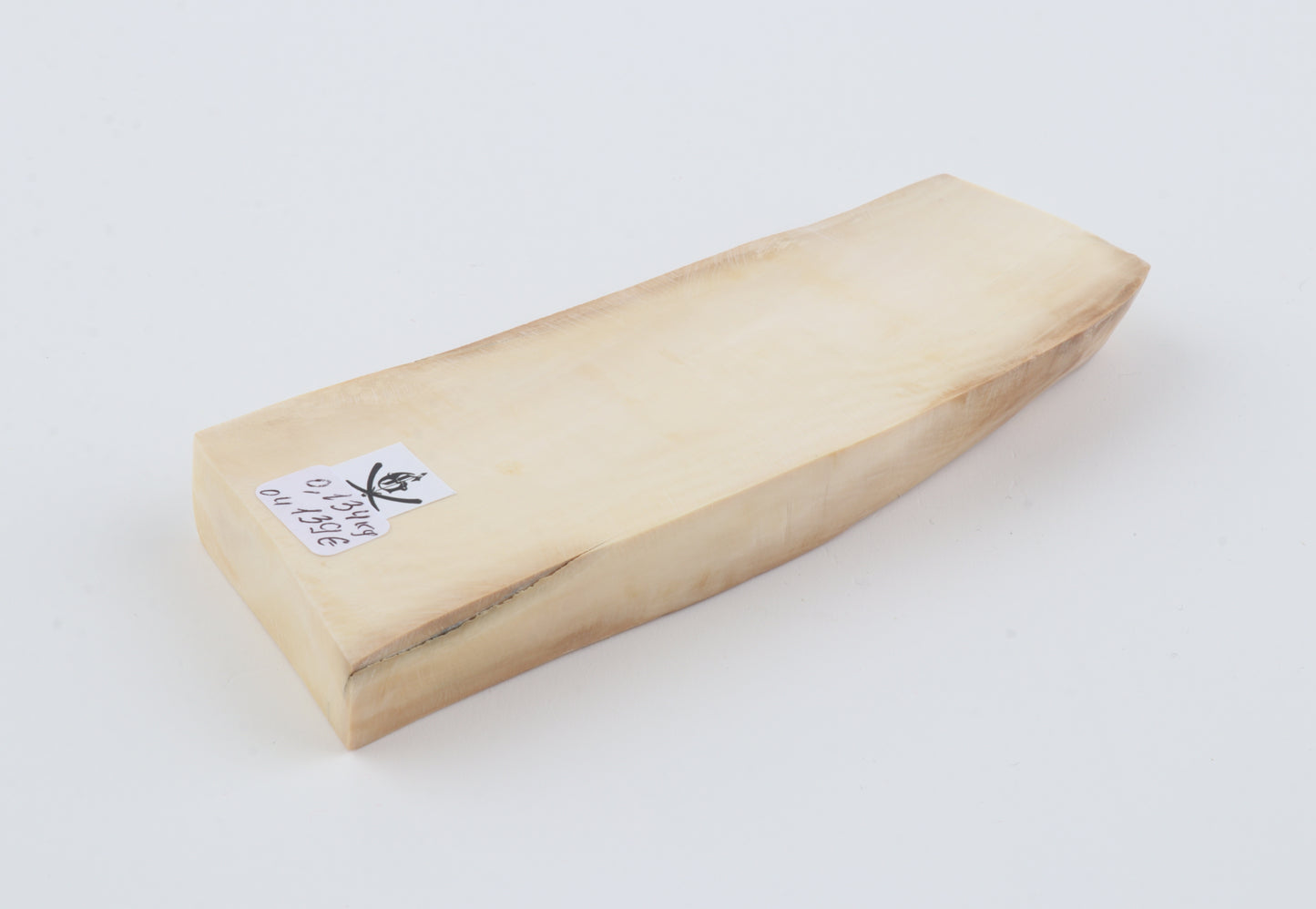 White mammoth ivory segment