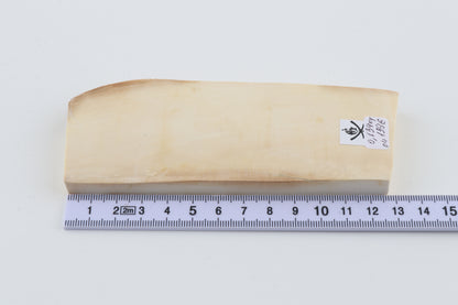 White mammoth ivory segment