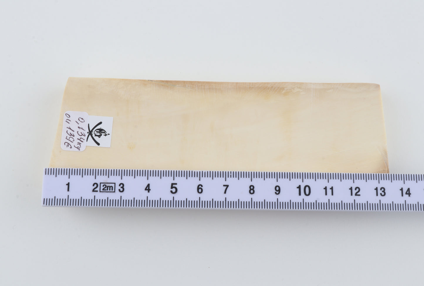 White mammoth ivory segment