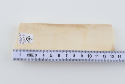 White mammoth ivory segment