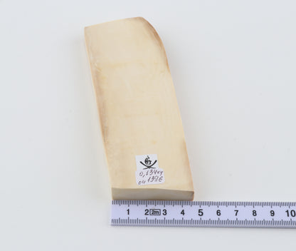 White mammoth ivory segment