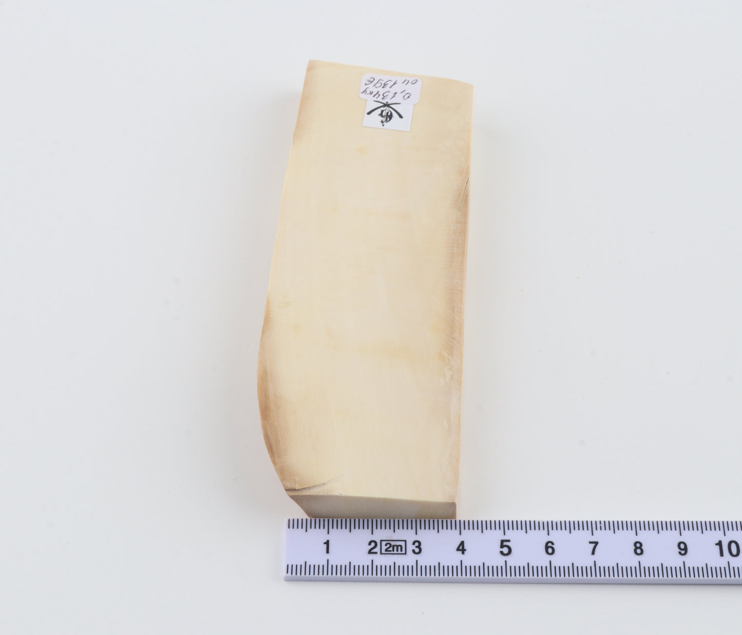 White mammoth ivory segment