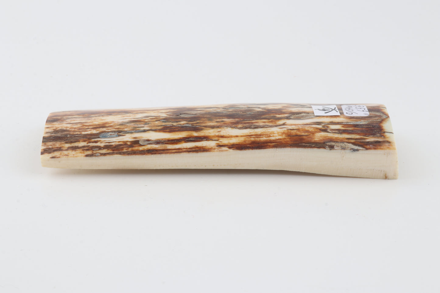 Brown-white mammoth ivory
