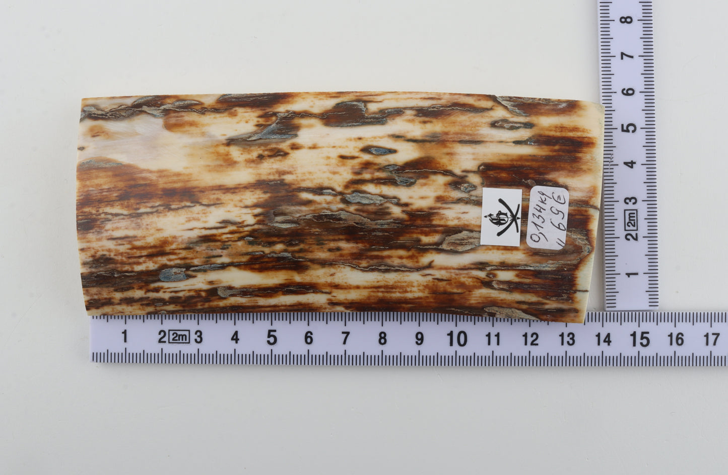 Brown-white mammoth ivory