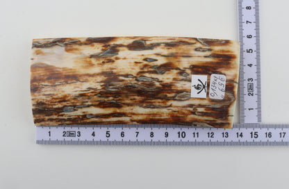 Brown-white mammoth ivory