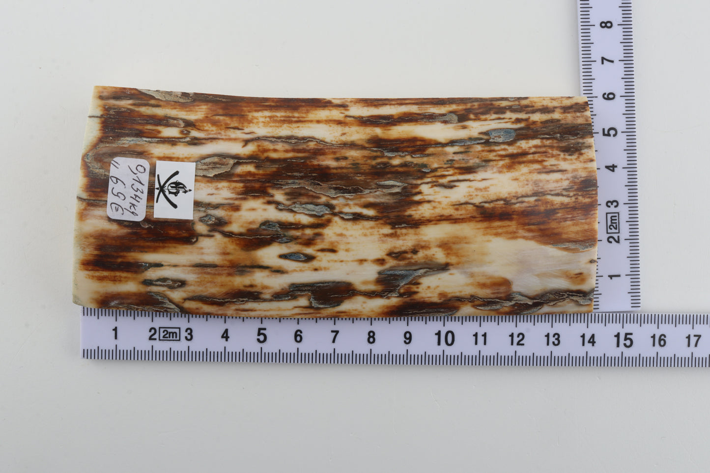 Brown-white mammoth ivory