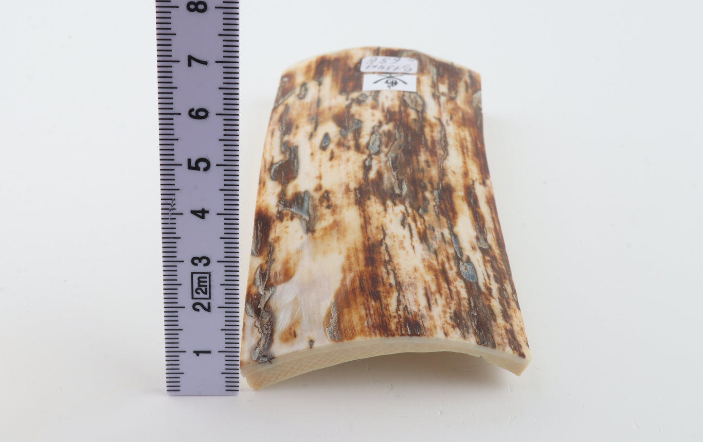 Brown-white mammoth ivory