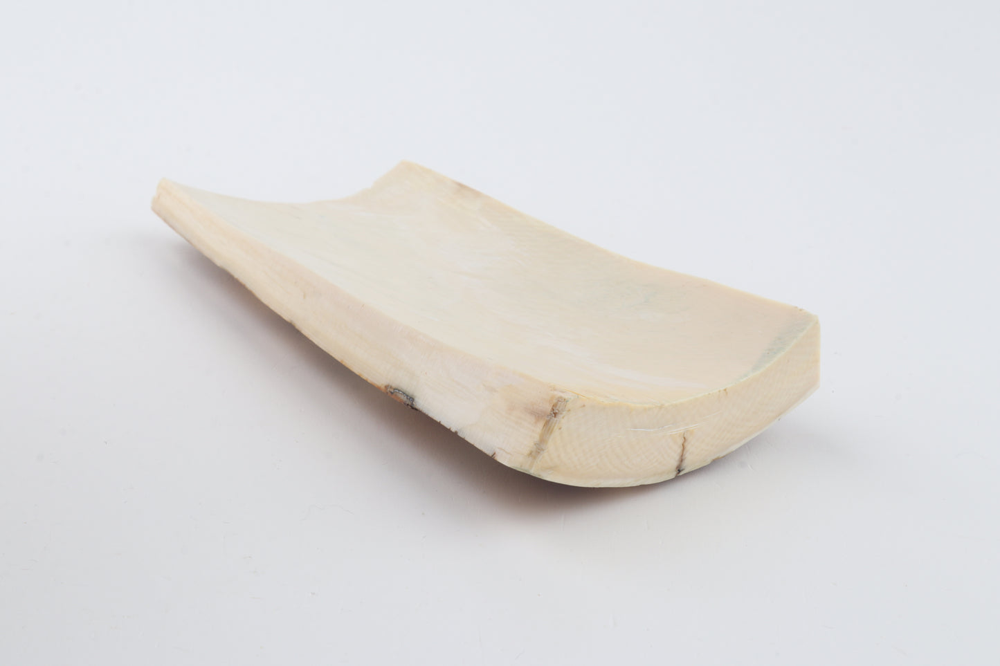 Brown-white mammoth ivory