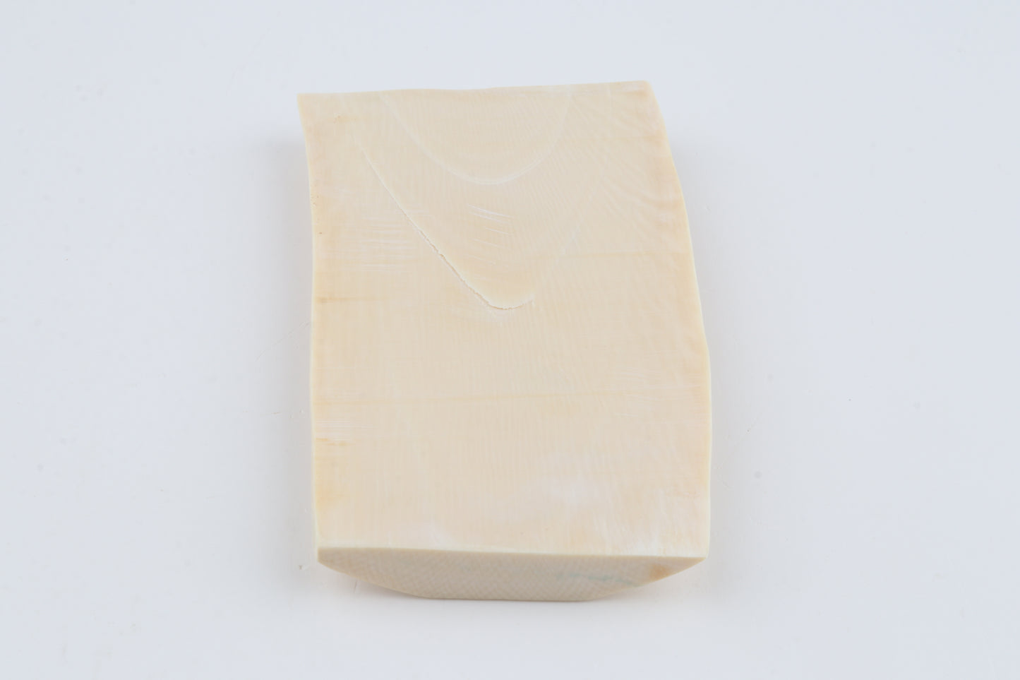 White mammoth ivory segment